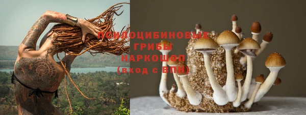 прущие крисы Апатиты