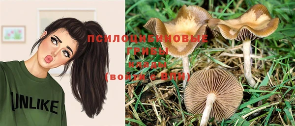 прущие крисы Апатиты