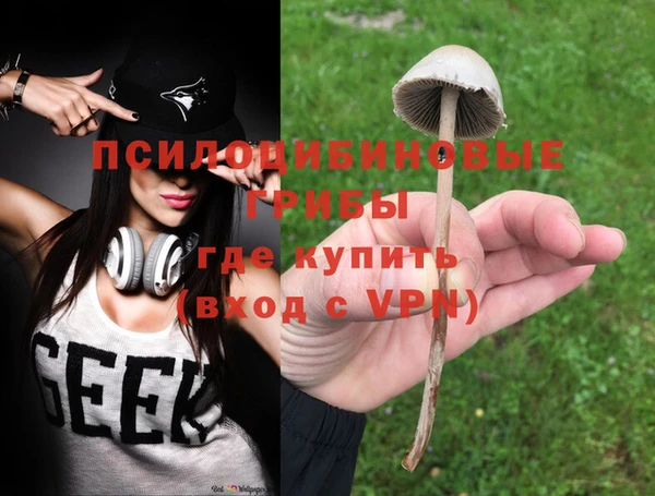 прущие крисы Апатиты
