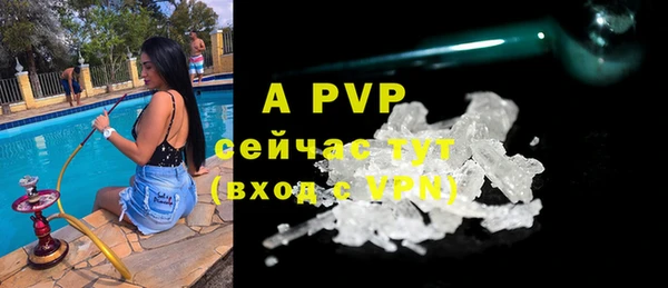 прущие крисы Апатиты