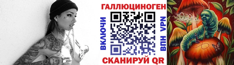 блэк спрут   Аткарск  Галлюциногенные грибы Psilocybe 