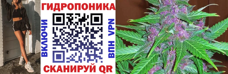 Каннабис сатива  Аткарск 